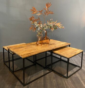 Salontafelset Reese Leasen met plant sfeerfoto